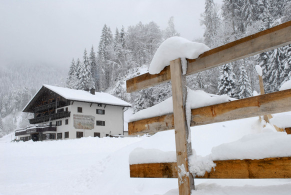 _c_ Gerhard Scopoli - Schnee Latschau - 278.jpg