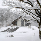 _c_ Gerhard Scopoli - Schnee Latschau - 288.jpg