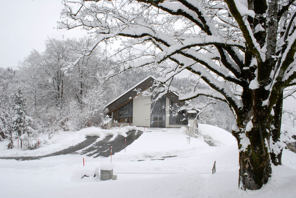 _c_ Gerhard Scopoli - Schnee Latschau - 288.jpg