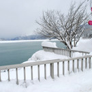 _c_ Gerhard Scopoli - Schnee Latschau - 007.jpg