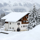 _c_ Gerhard Scopoli - Schnee Latschau - 033.jpg