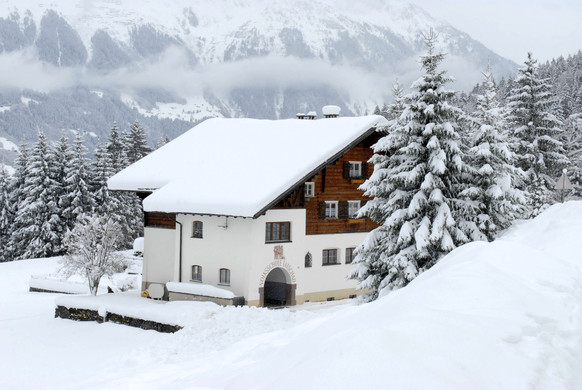 _c_ Gerhard Scopoli - Schnee Latschau - 033.jpg