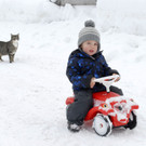 _c_ Gerhard Scopoli - Schnee Latschau - 100.jpg