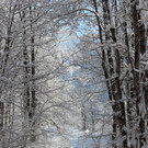 Sch3_JPG-1355417603
