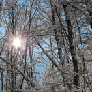 Sch4_JPG-1355417665