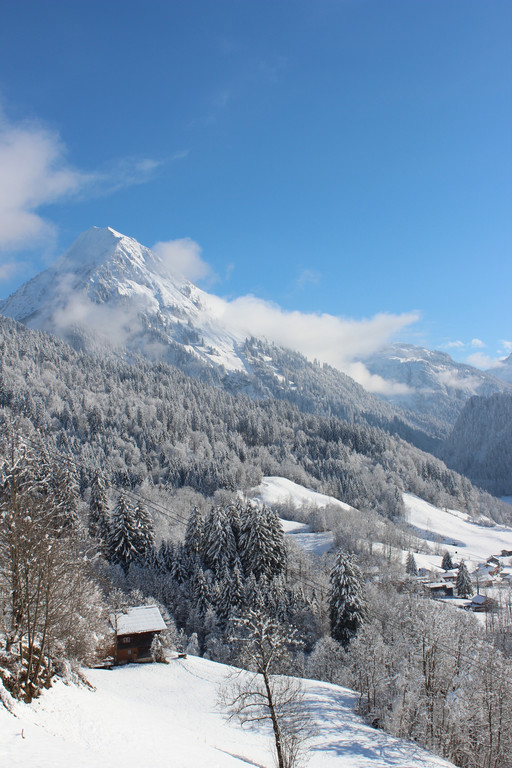 Sch7_JPG-1355417744