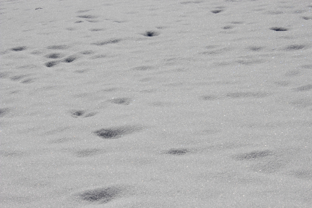 Sch9_JPG-1355417814