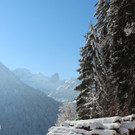 Sch12_JPG-1355417901