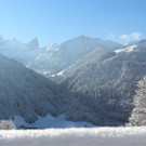 Sch13_JPG-1355417921