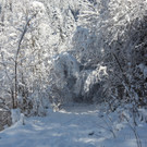 Sch15_JPG-1355418020