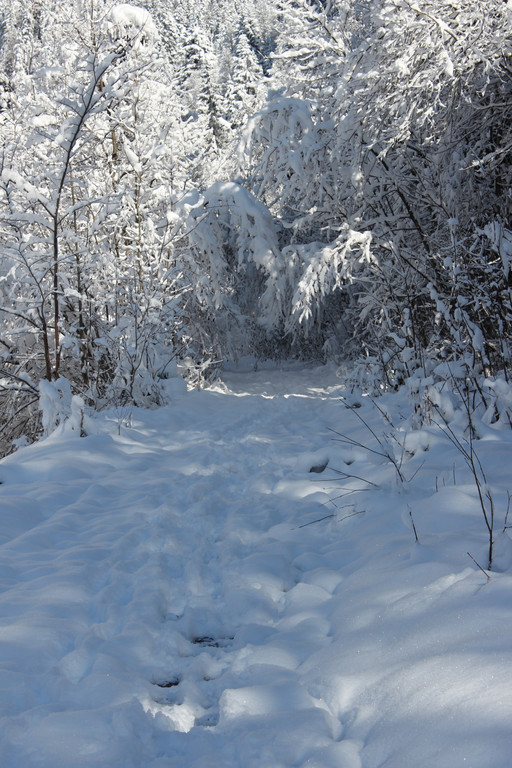 Sch15_JPG-1355418020