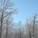 Sch16_JPG-1355418088