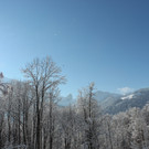 Sch17_JPG-1355418136