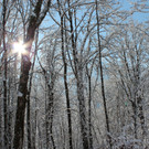 Sch18_JPG-1355418183