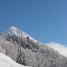 Sch19_JPG-1355418229