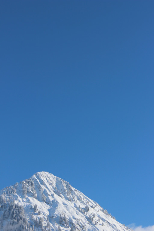 Sch22_JPG-1355418286