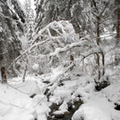 Latschau im Dez. 2012
