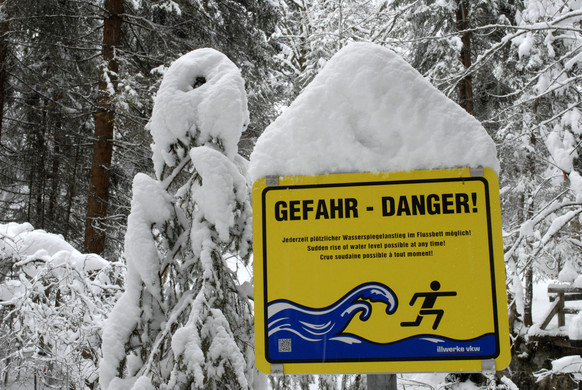 _c_ Gerhard Scopoli - Schnee Latschau - 236.jpg