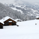 _c_ Gerhard Scopoli - Schnee Latschau - 036.jpg