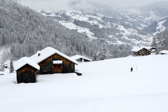 _c_ Gerhard Scopoli - Schnee Latschau - 036.jpg