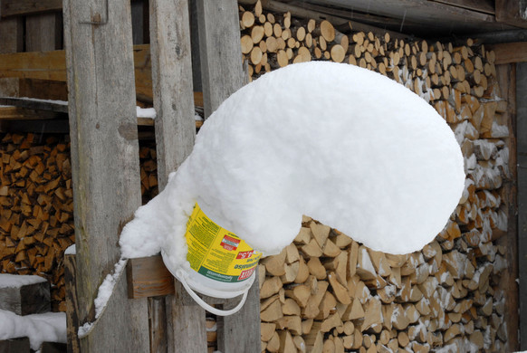 _c_ Gerhard Scopoli - Schnee Latschau - 157.jpg