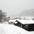 _c_ Gerhard Scopoli - Schnee Latschau - 195.jpg
