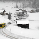 _c_ Gerhard Scopoli - Schnee Latschau - 198.jpg