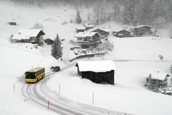 _c_ Gerhard Scopoli - Schnee Latschau - 198.jpg