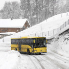 _c_ Gerhard Scopoli - Schnee Latschau - 202.jpg