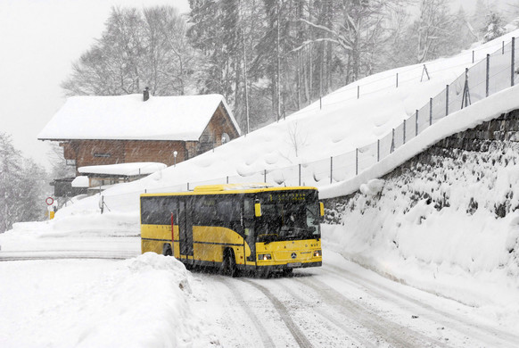 _c_ Gerhard Scopoli - Schnee Latschau - 202.jpg
