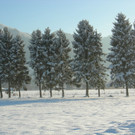 Winterfotos 033.JPG