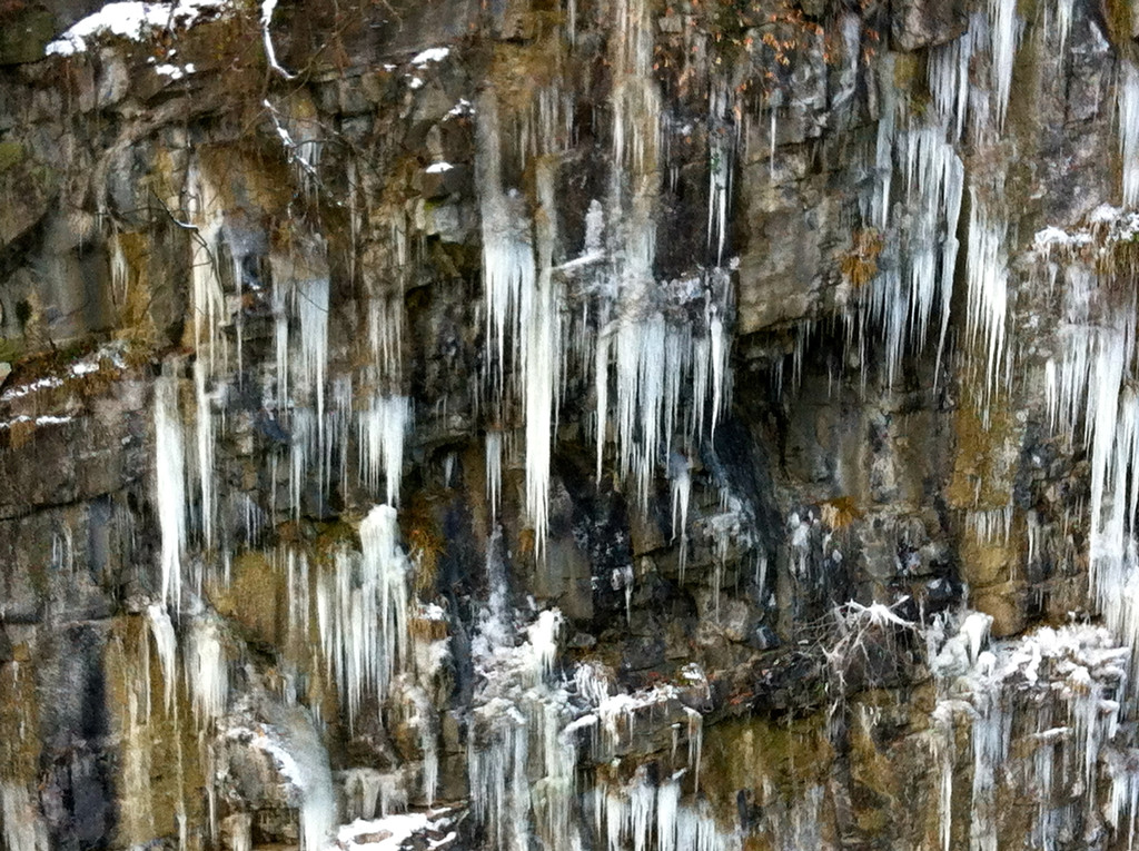 IMG_1478_jpg-1355429982