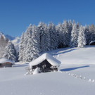 P1010007.JPG