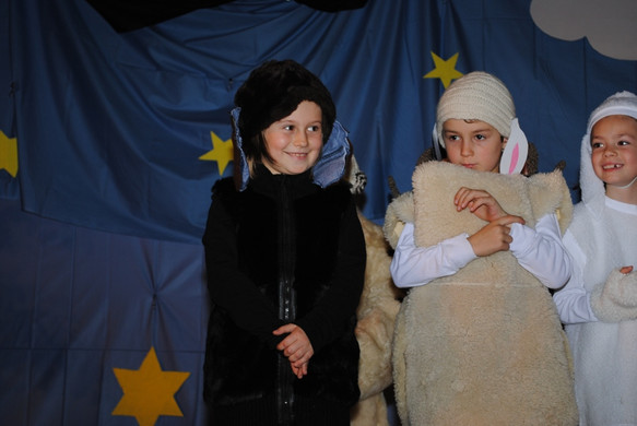 DSC_2260_JPG-1355433109