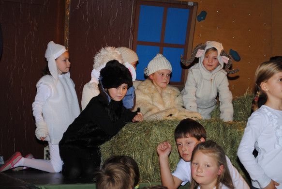 DSC_2271_JPG-1355433117