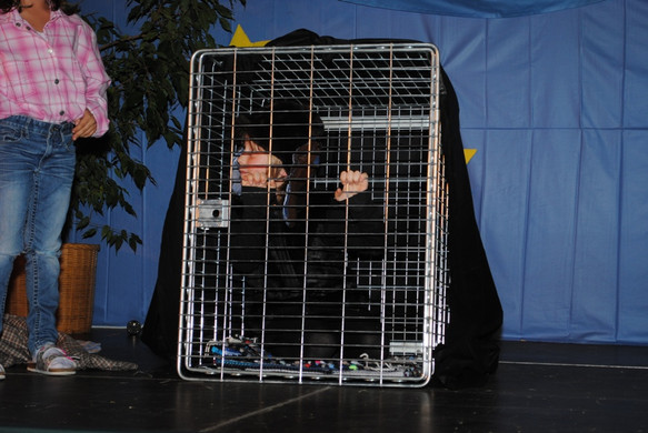 DSC_2276_JPG-1355433121