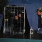 DSC_2281_JPG-1355433125