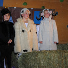 DSC_2294_JPG-1355433135