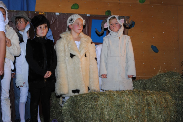 DSC_2294_JPG-1355433135