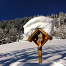 winter2_jpg-1355433512
