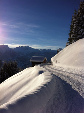 Winter_jpg-1355433527
