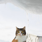 Winterbilder10.JPG