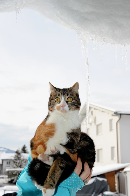 Winterbilder10.JPG