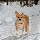 Winterbilder39.JPG