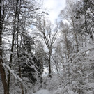 Winterbilder51.JPG