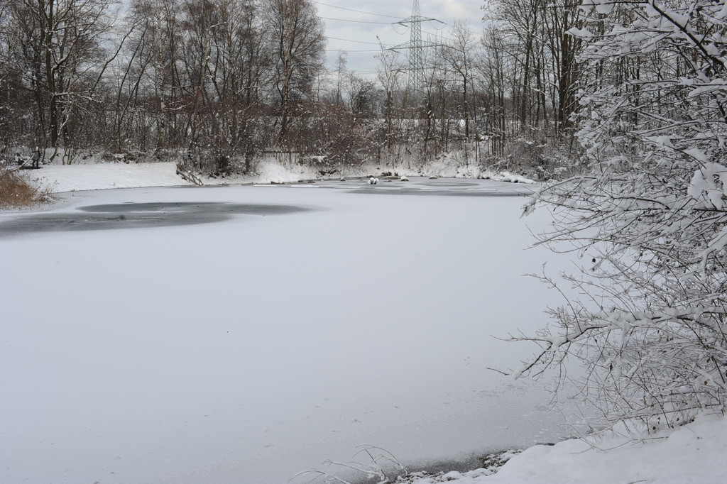 Winterbilder52.JPG