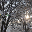 Winterbilder Altach 033.JPG