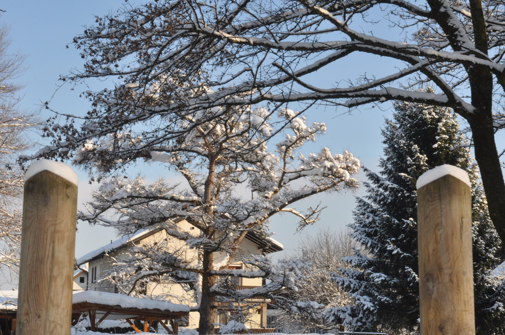 Winterbilder Altach 044.JPG