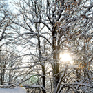 Winterbilder Altach 048.JPG