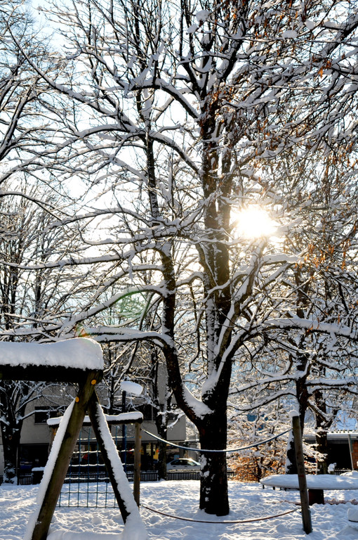 Winterbilder Altach 048.JPG